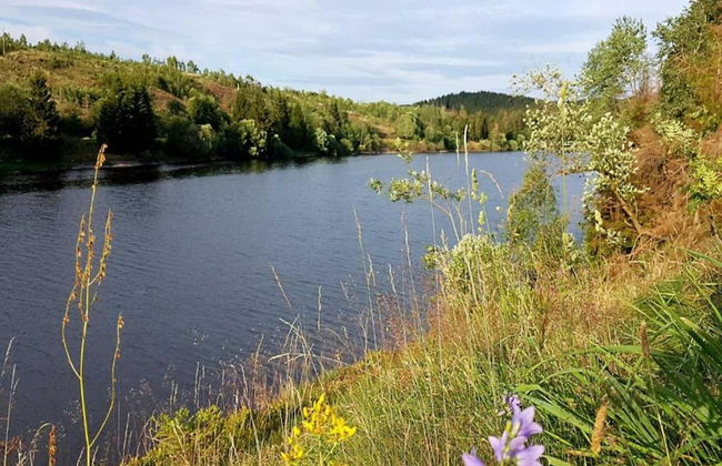 Forest Stay in Elbingerode - Foto 31