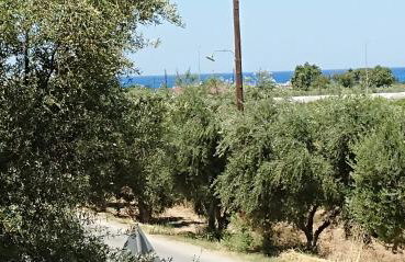 Evilion house inTholo. Sea, nature, relaxation! - Foto 48