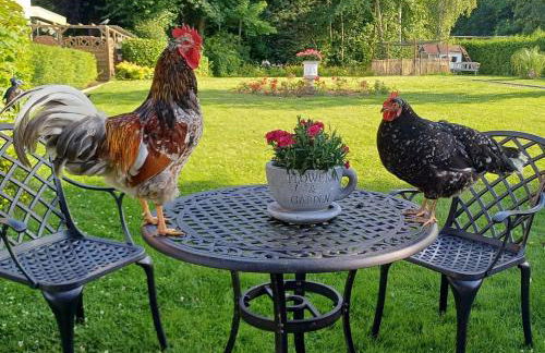 Landhaus Timm - Ferienhaus an der Ostsee - Foto 29