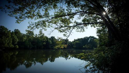 Wonderful Lakefront Cabin with Hot-tub in Carbondale, Illinois - Foto 4