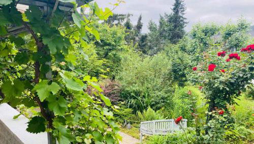 Apartment in Kamp-Bornhofen 51101 - Foto 4