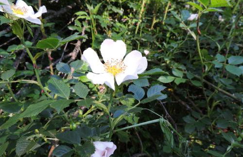 La Casa del Cartero Pablo - Foto 46