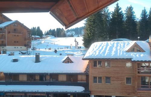 Studio coeur de station de Praz de Lys 1500m - Foto 9