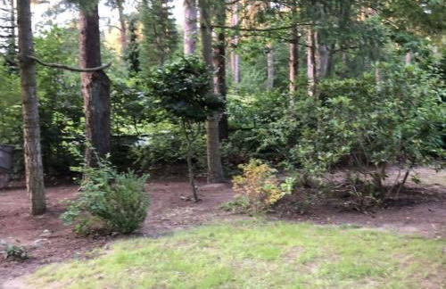 Holiday Home Reetdach Ferienhaus am Lübbesee Sauna Bootsteg neu by Interhome - Photo 30