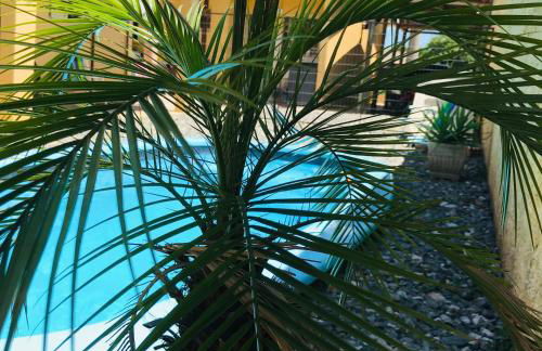 Cantinho Dom Inácio - Foto 10