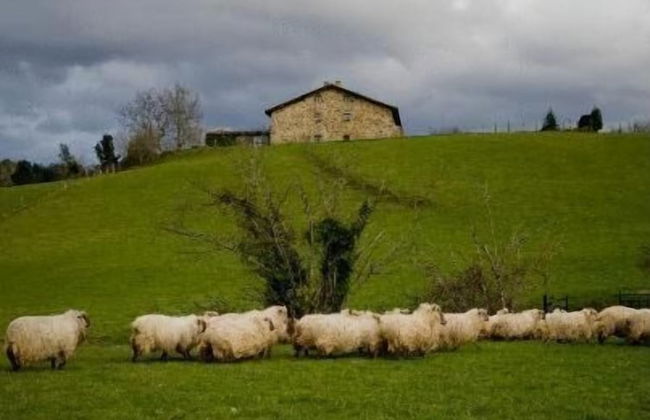 Caserio Iruaritz - Foto 19