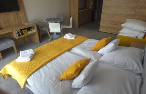 Czarna Góra Apartament 319 - Foto 9