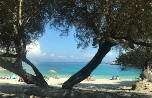 Villa Eleni - Foto 21