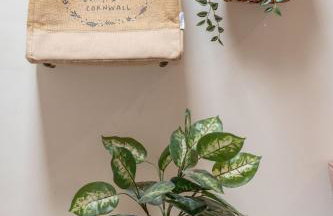 Swift Barn Lambest Farm Menheniot Cornwall - Foto 14