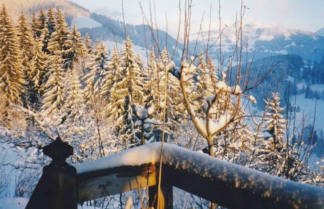 Chalet in Rougemont Near Ski Slopes - Foto 33