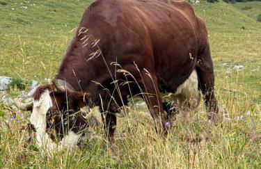 Le Flocon B - Appartement Cosy au pied des pistes - Foto 7