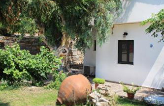 Ikaria Utopia - Cusco Studios - Photo 26