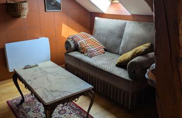 Les Chanterelles La souris des champs - Foto 3