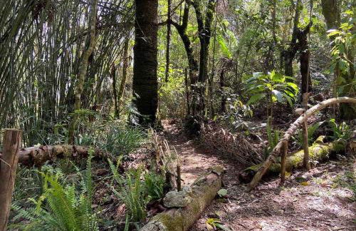 Chalé na Floresta - Refúgio Natural - Photo 23