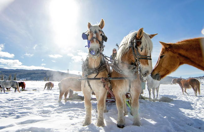 Vista Verde Ranch All-inclusive - Adults Only - Foto 41