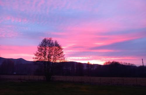 Dolina Sosny - Foto 23