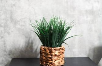 Hill Country Haven: Gateway to TXST and San Marcos - Foto 20