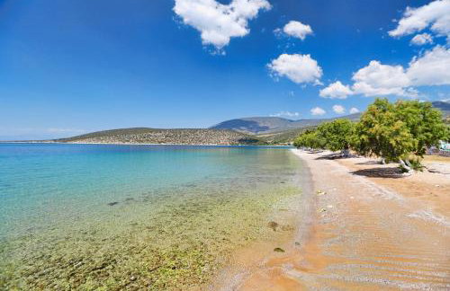 Arilena Studios - Photo 7