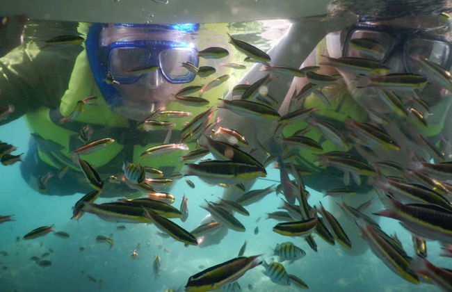 Zihuatanejo Bay Kayaking & Snorkelling - Photo 3