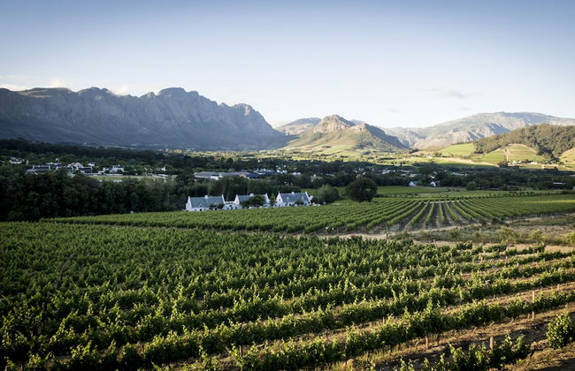 La Cotte Forest Cottages - Foto 23