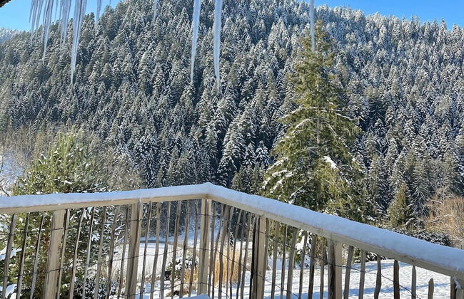 Charmantes, Einladendes Ferienhaus in Toller Natur - Foto 15