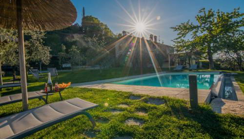 La Folaga del Trasimeno - Foto 4