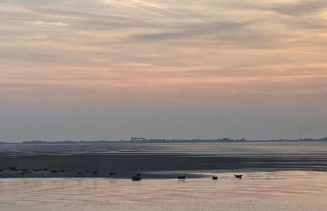 Holiday Home in Scherpenisse Near the Sea - Photo 39