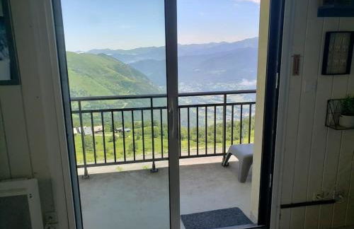 VUE PANORAMIQUE SUR LES PYRÉNÉES - Photo 16