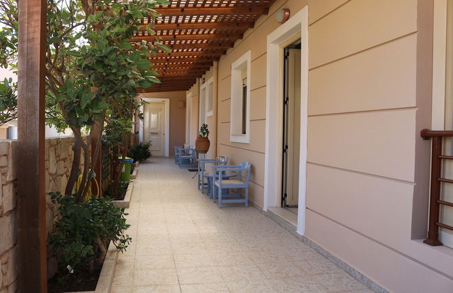 Helianthus - Foto 13