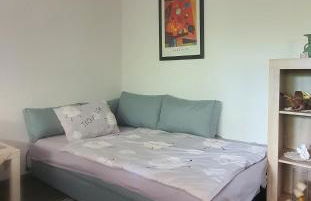 Ferienwohnung 3,2 km von Saarloius entfernt mit Terrasse und Garten - Foto 22