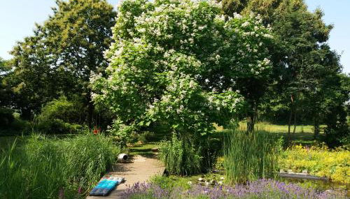 Weeze - Foto 5, Garden view