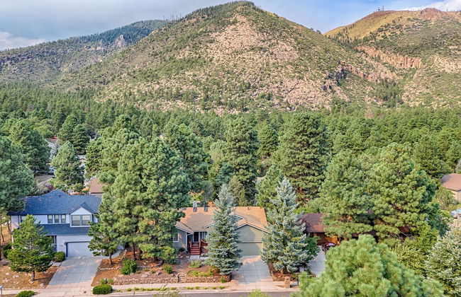 Forest Heights - Photo 18