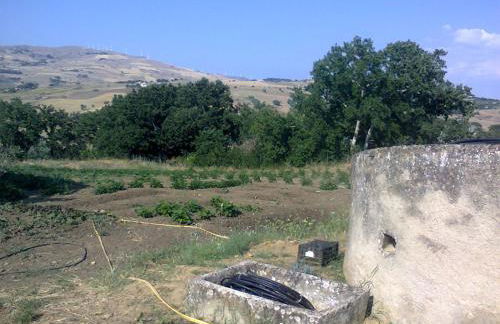 Agriturismo San Pietro - Foto 141