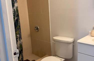 My Garden in Miami Florida - Photo 31