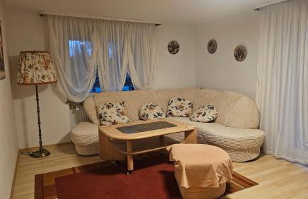 Eichhörnchen-Haus Körner im Schwarzwald - Foto 9