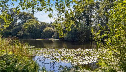 The Lodge At The Lake House - Foto 1