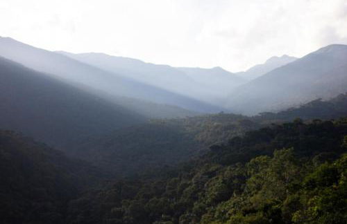 Chalé Gaia - Hospedagem Itatiaia - Photo 29