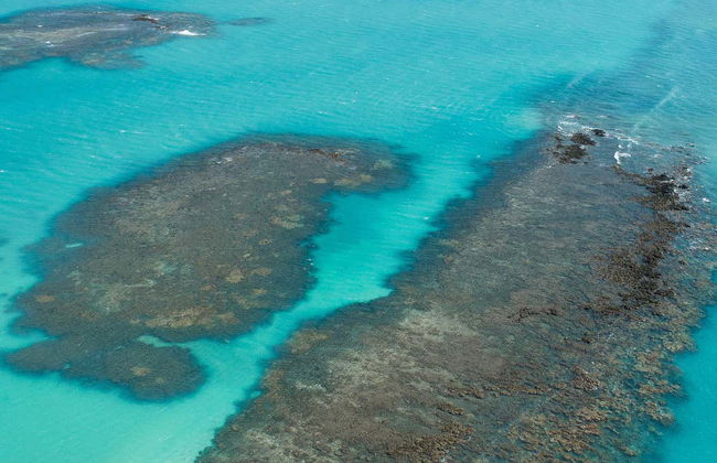 Paseo en barco por la Croa de São Bento - Foto 6