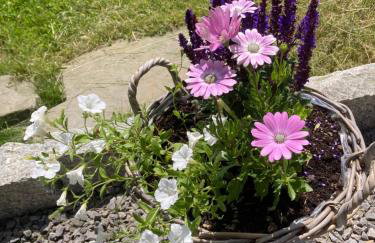 Brama Gór - Foto 77