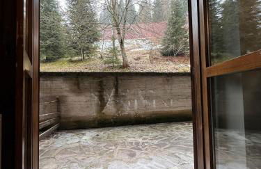 Luxury sulle piste da sci - box - Giardinetto - Appartamento ristrutturato 2025 - - Photo 23