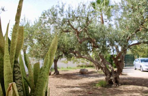 Gli ulivi di Cala Rossa By Dimora Hub - Foto 46