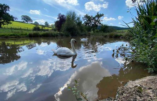 Mallards Barn on a rural farm - Foto 22