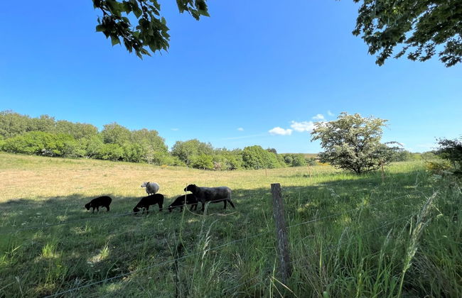 "Aurore" - 1.3km from the sea - Foto 15