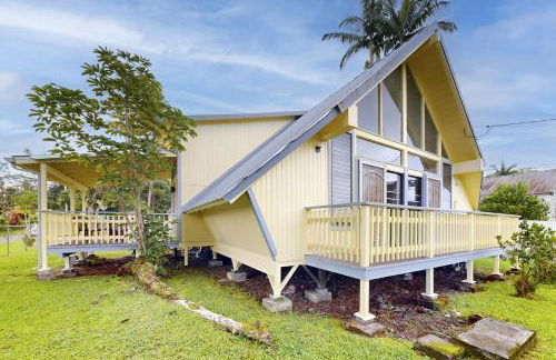 Sea Turtle Life - Photo 36