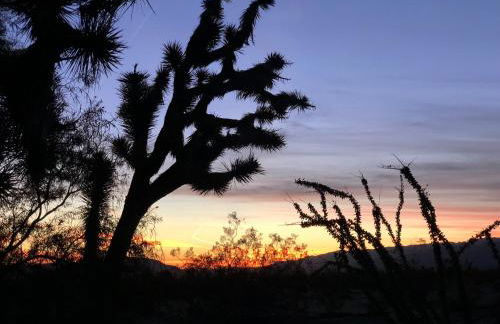 Popular Homestead! Location, Stargaze, Views! - Foto 9