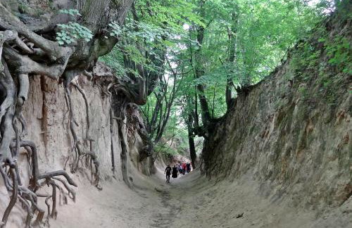 Apartament Parkowy - Foto 23