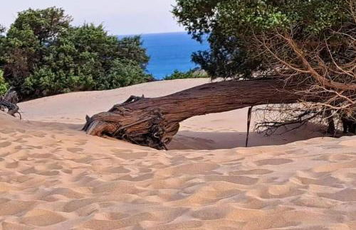 Borgo Ingurtosu - Photo 20