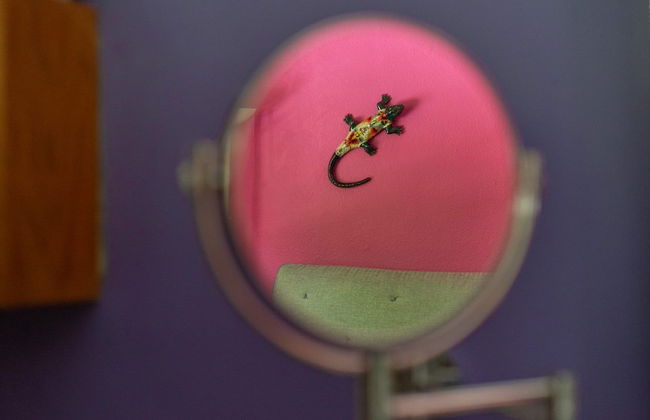 JUUB Enjoy 1 bedroom apt at Condesa district - Foto 29