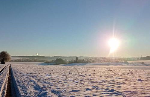 Ferienglück im Schwarzwald - Foto 24