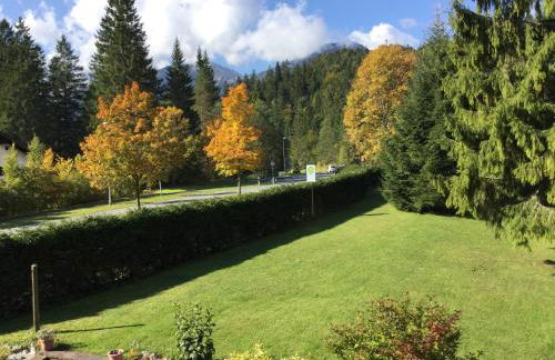 Alpine Blue Apartments - Foto 1